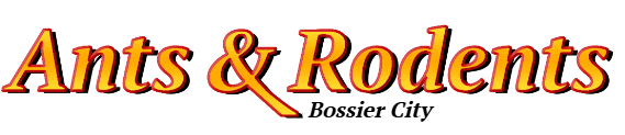 Bossier City Ant Exterminator & Rodent Control Company Logo